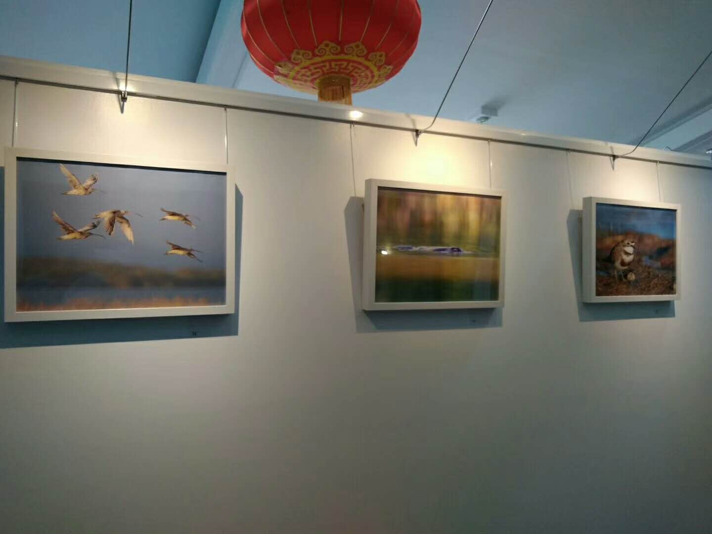 摄影展2