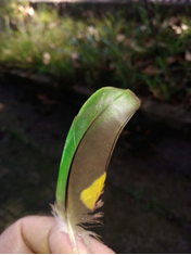 ''