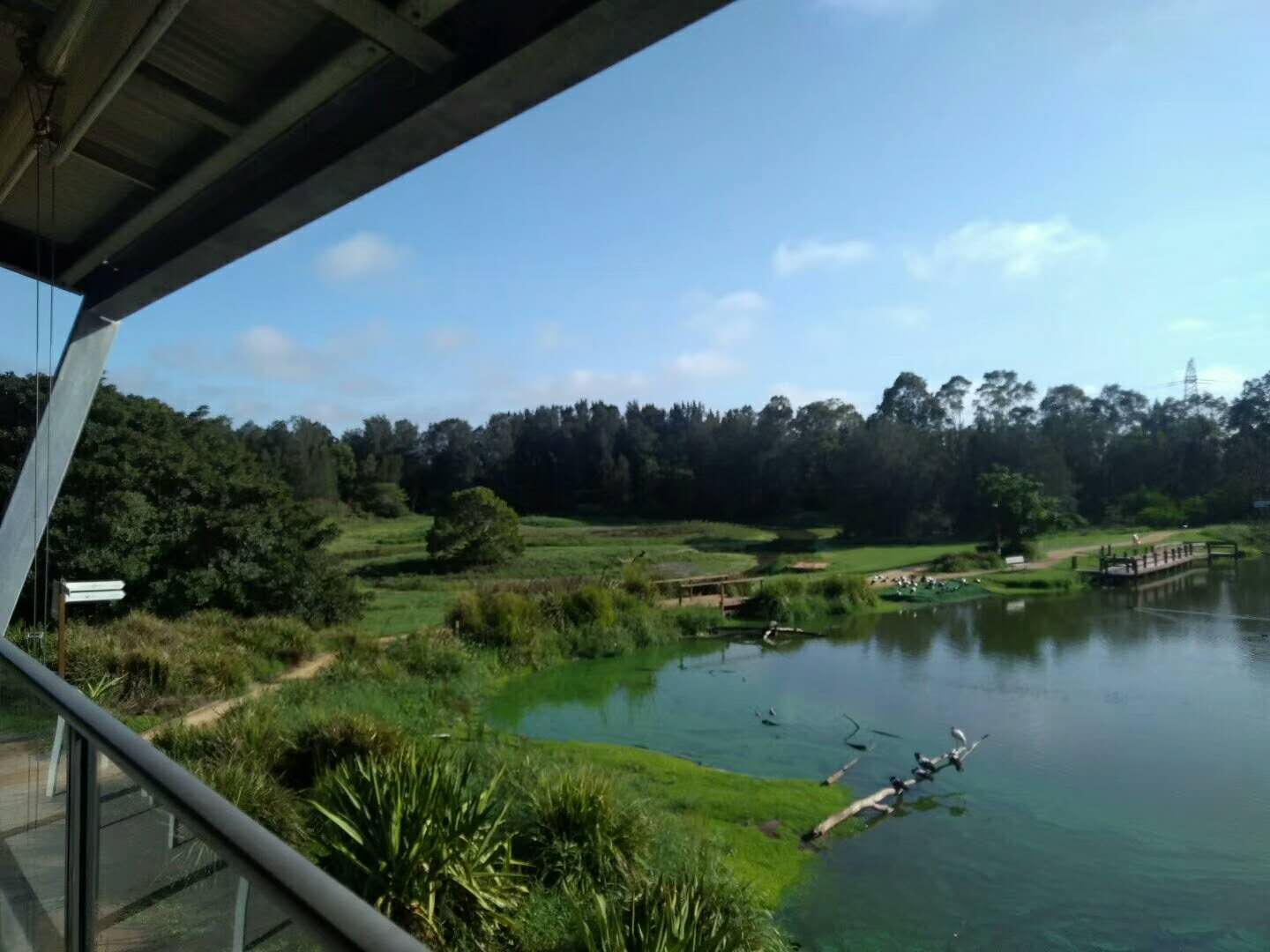 湿地中心的咖啡馆