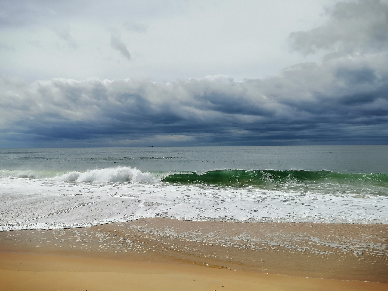 海2
