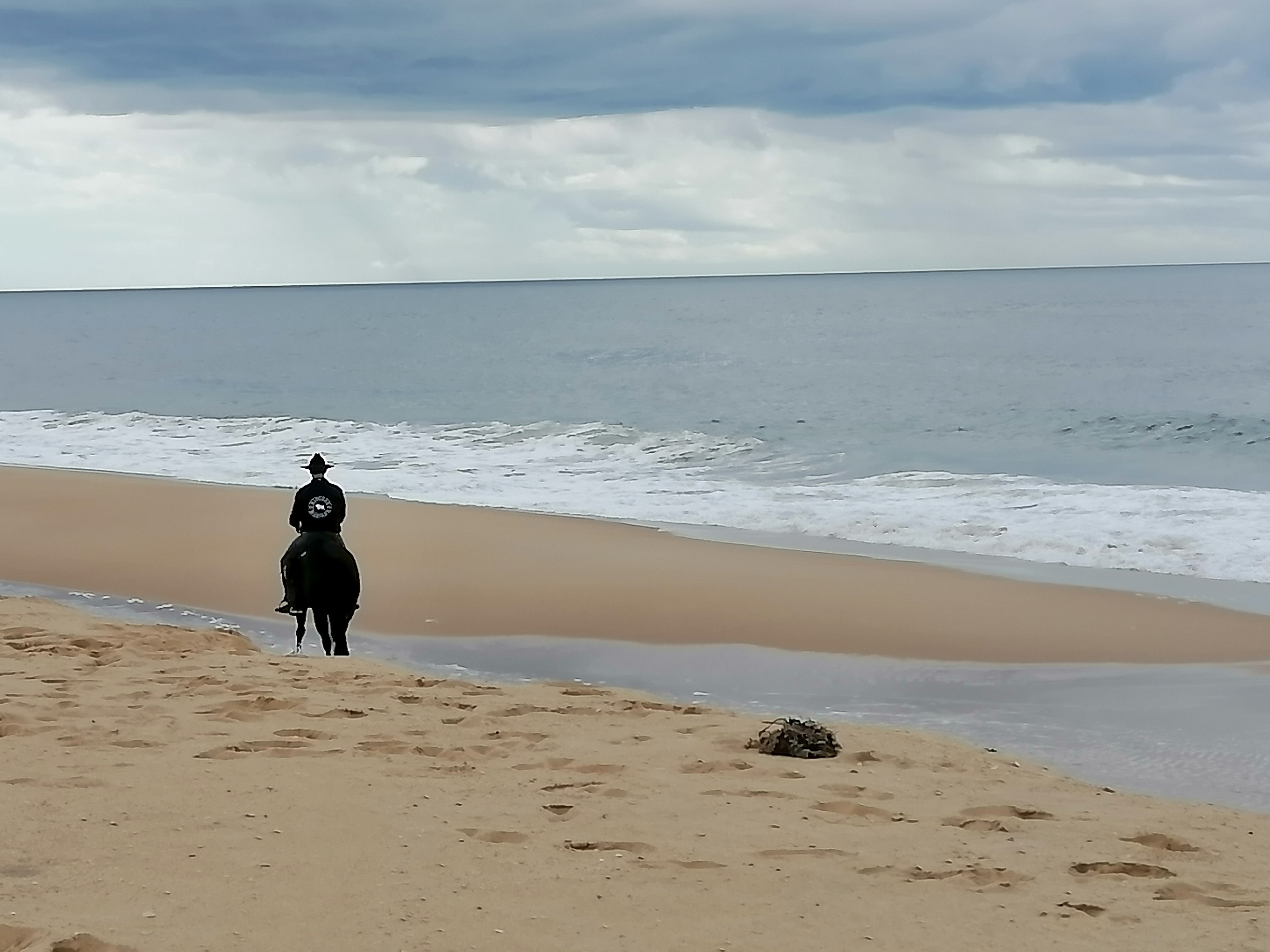 海8
