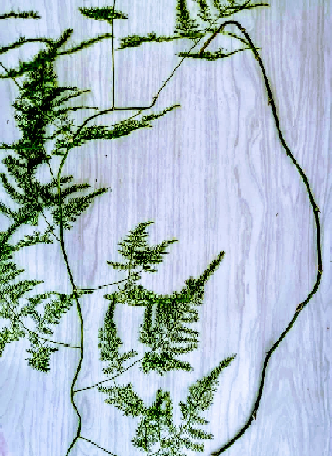 '