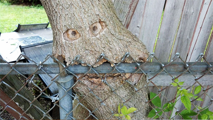 ''